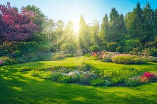 Prestige Raintree Park Bangalore Amenities - Garden
